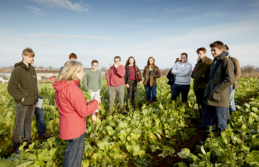 First school of sustainable food and farming officially launches in UK