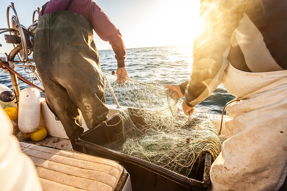 Wild Caught Seafood