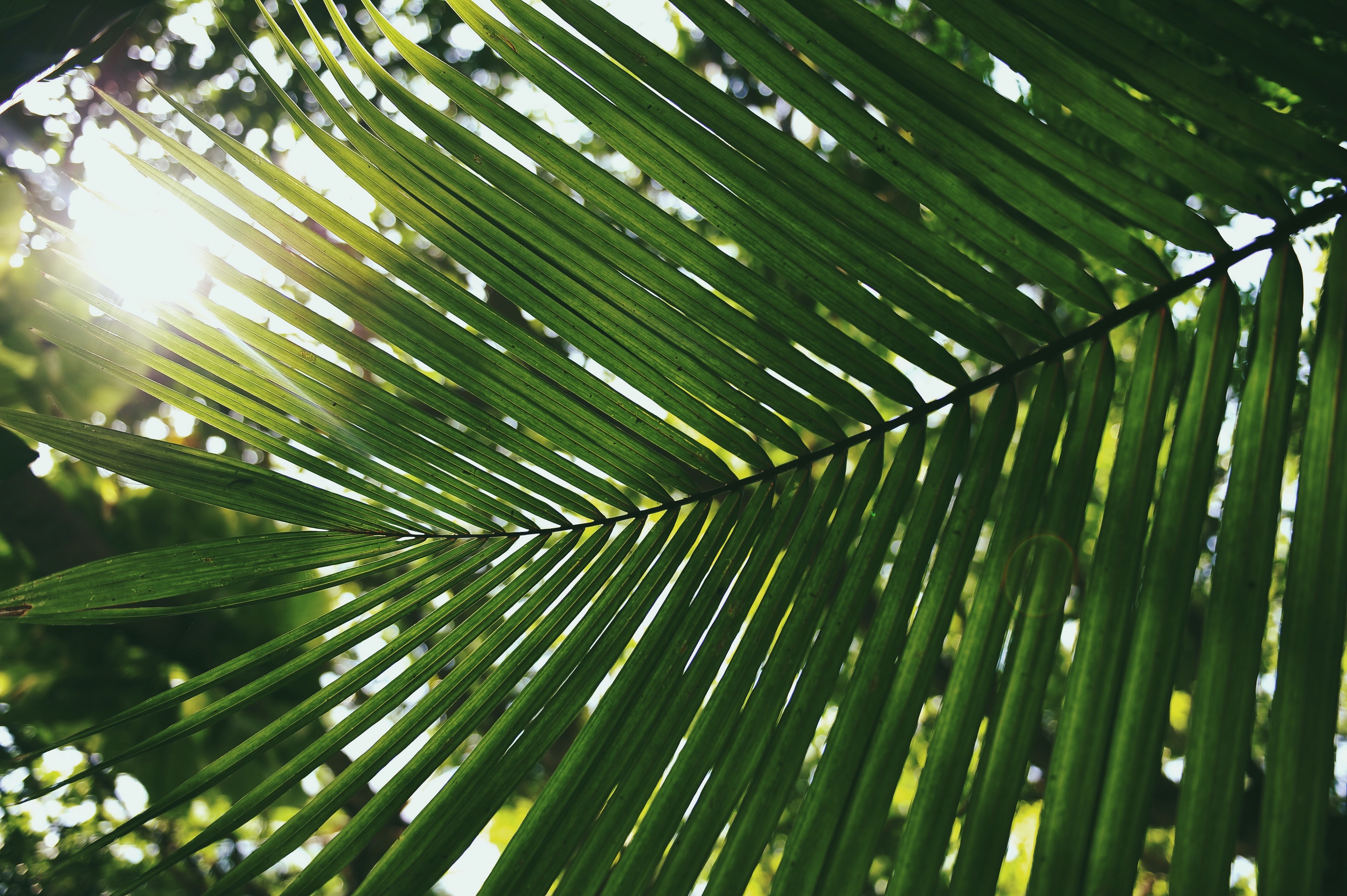 Sustainable Sourcing