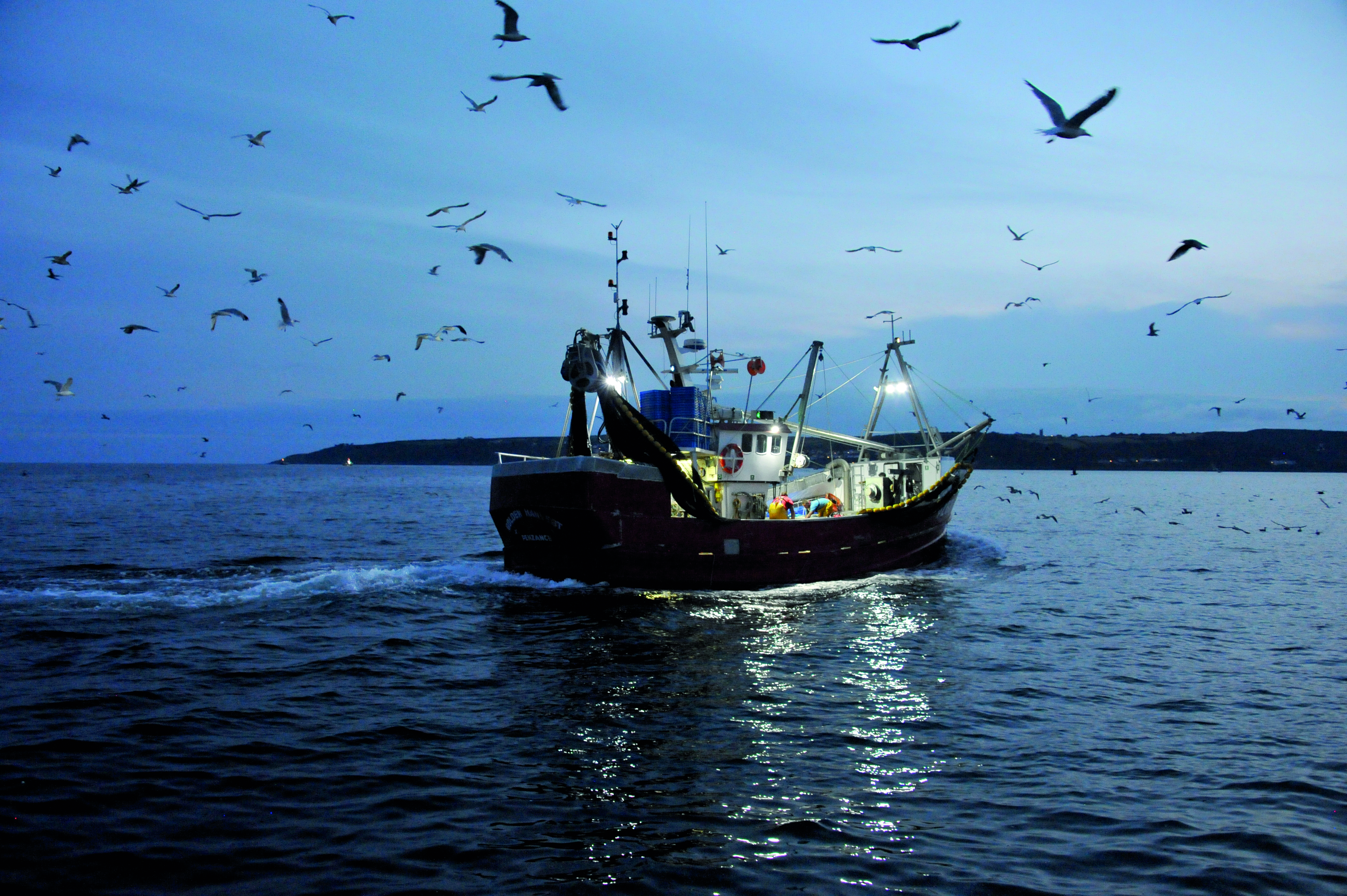 Morrisons to transfer over £100,000 apprenticeship levy fund to the fishing sector