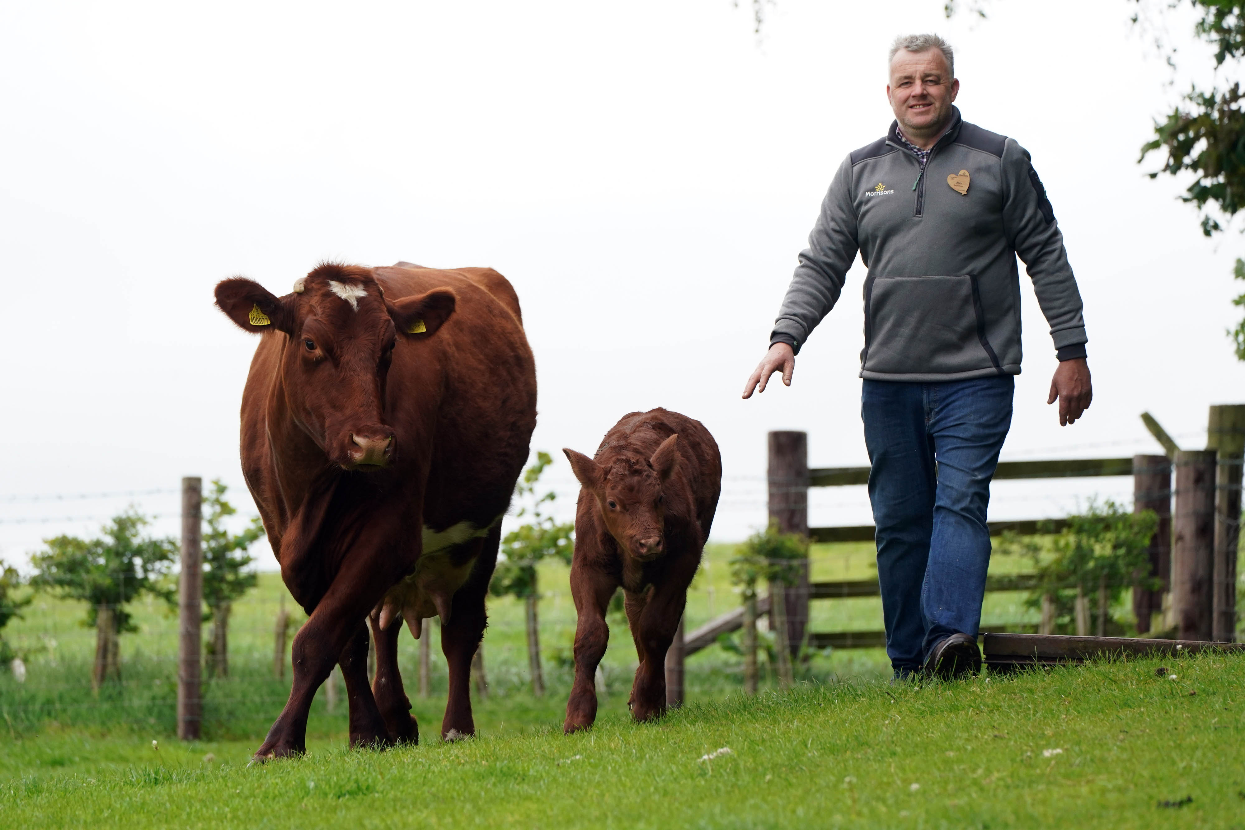 Morrisons Launches Support Scheme for Beef and Lamb Farmers