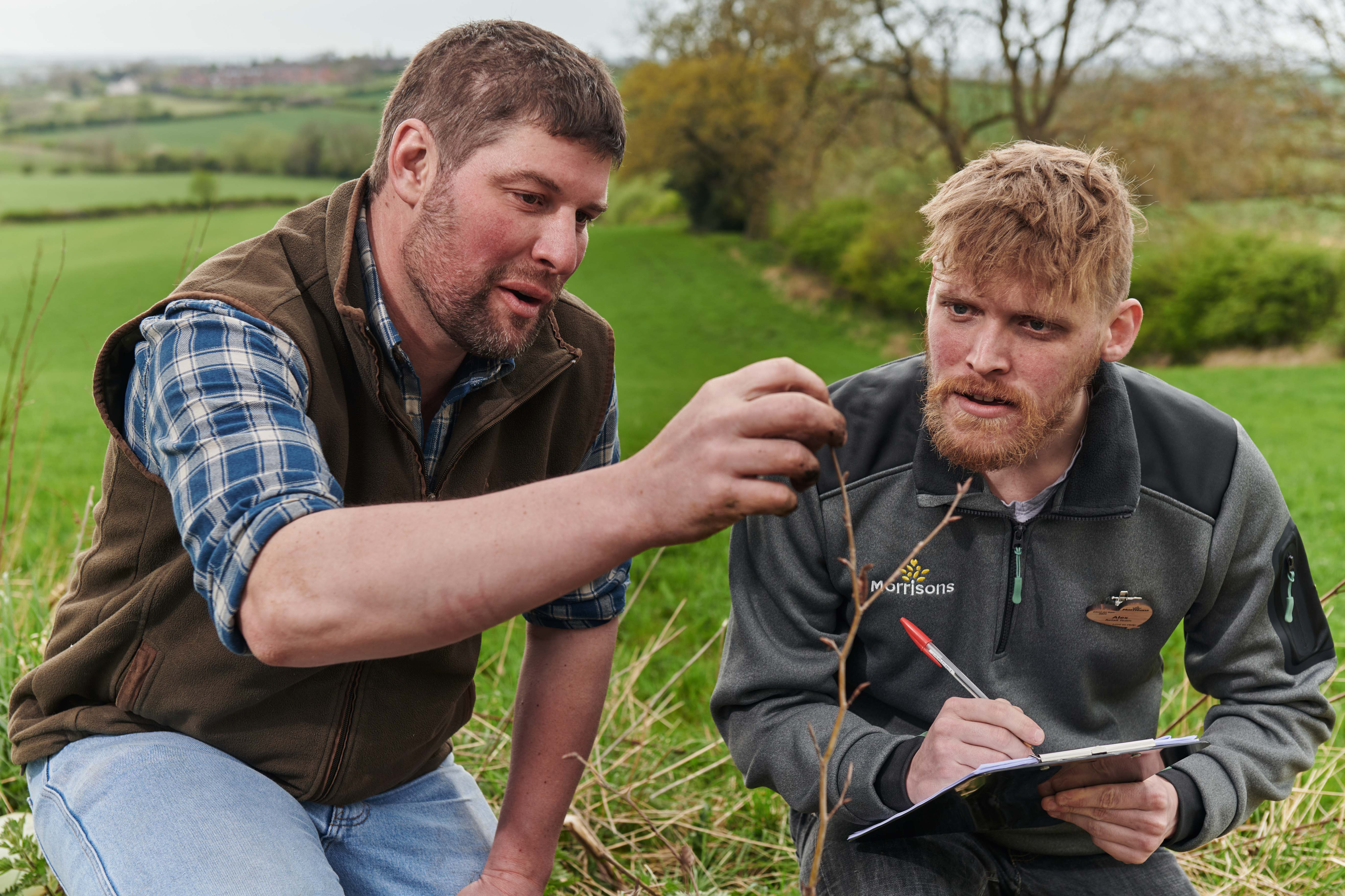 Morrisons Employs Tree Advisors to Help UK Farmers Meet Planting Targets