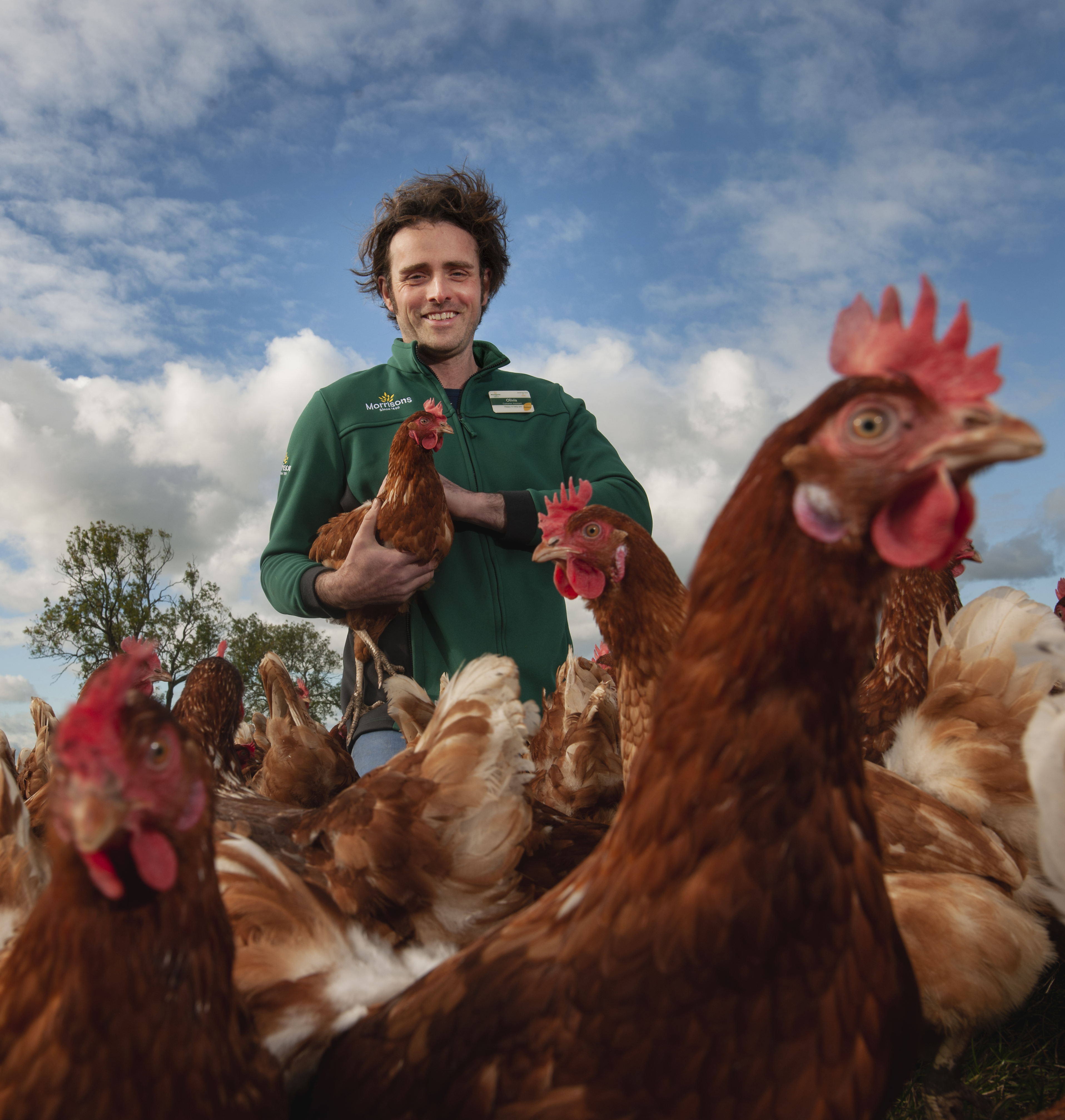 Morrisons to Reduce Soya Use on Road to Carbon Neutral Eggs