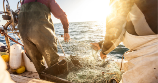 Supporting British Fishing