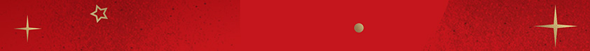 Alt description for the image