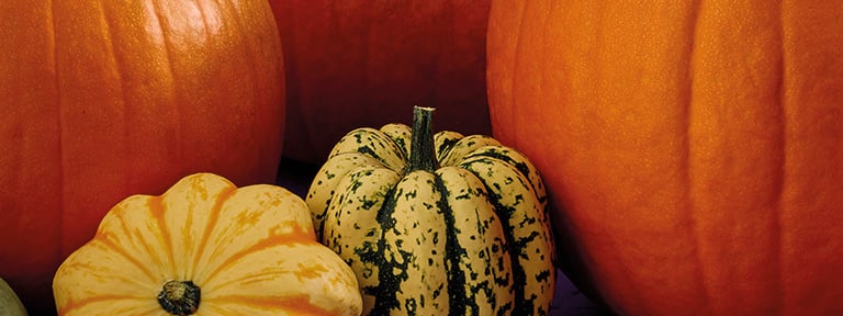 Making the most of your Pumpkin